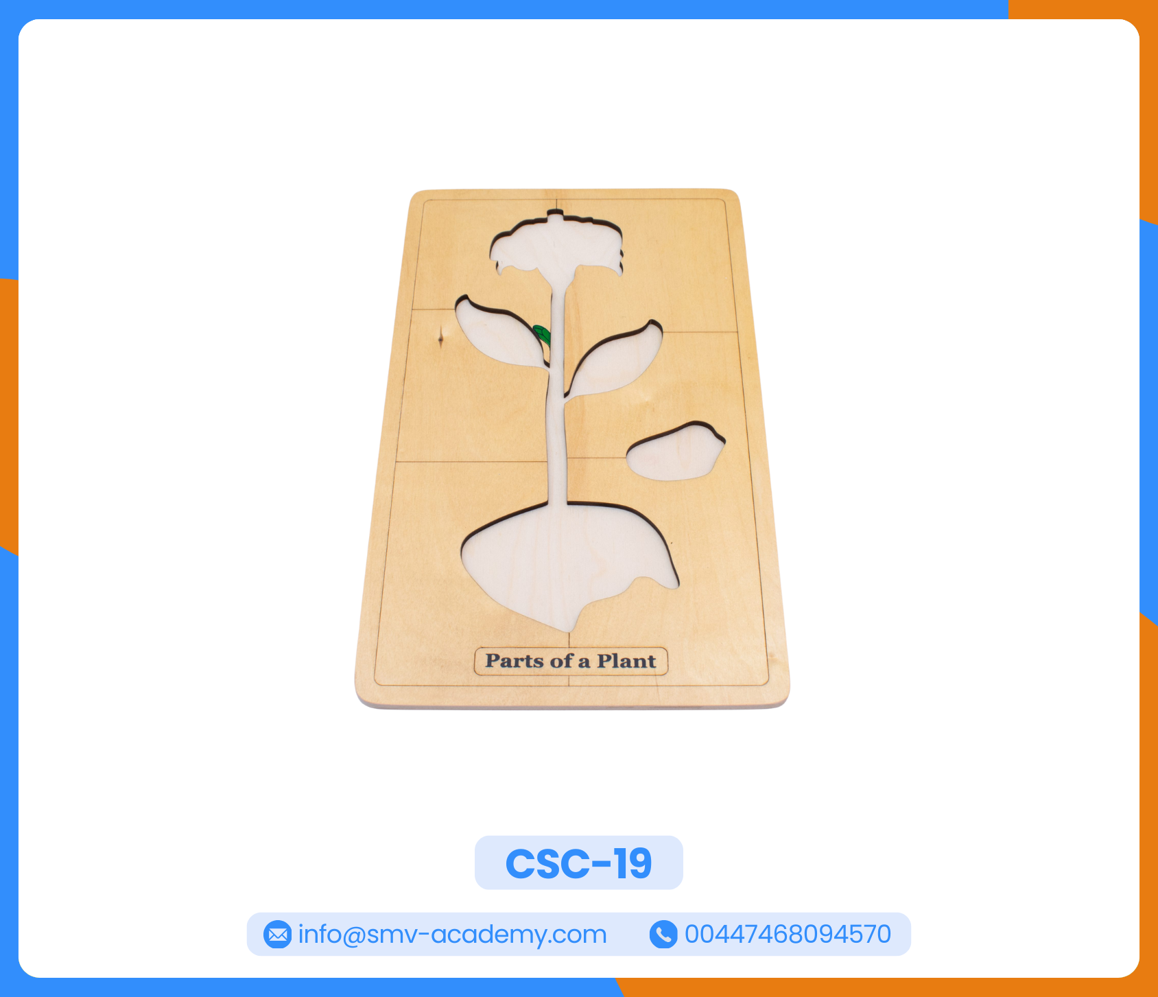 بازل أجزاء النبات - Parts of a Plant Puzzle